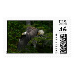Alaska Bald Eagle postage