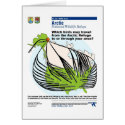 Alaska bird migration cards