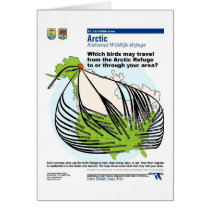 Alaska bird migration cards by moxieann Alaska bird migration cards