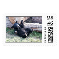 Alaska Black Bear Cub Large Stamp stamps