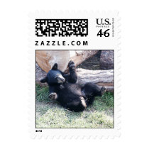 Alaska Black Bear Cub Stamp