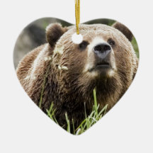 ALASKA CHRISTMAS TREE ORNAMENTS