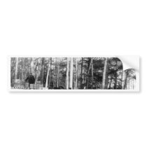 Alaska Dog Sledding Bumper Sticker