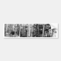 Alaska Dog Sledding Bumper Sticker