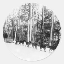 Alaska Dog Sledding Round Stickers