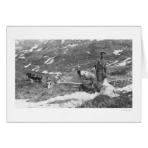 Alaska Dog Team Hunting 1912 cards