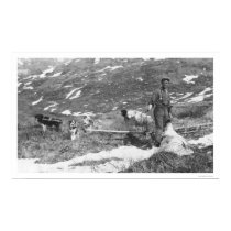 Alaska Dog Team Hunting 1912 posters
