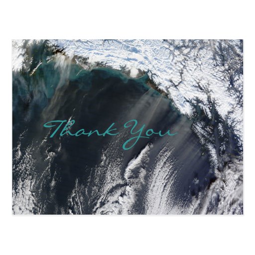 Alaska Dust Storm Thank You Postcard