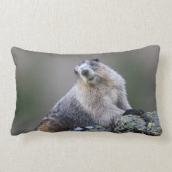 alaska marmot pillow