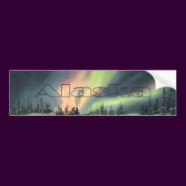 ALASKA NORTHERN LIGHTS by SHARON SHARPE bumper stickers