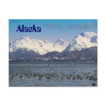 Alaska Postcard