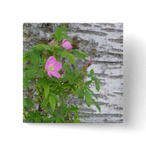 Alaska Rose #12 Pinback Buttons