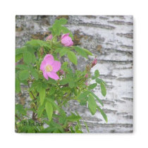 Alaska Rose #12 Refrigerator Magnet