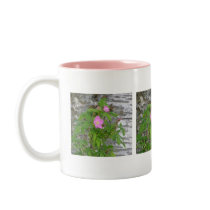 Alaska Rose #12 Coffee Mugs