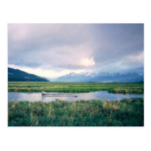 Alaska Sanctuary Post Card
