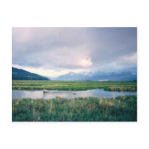 Alaska Sanctuary postcards