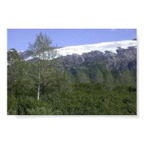 Alaska Scenic w/glacier posters