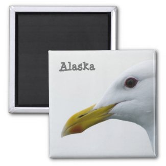 Alaska Seagull Magnet magnet