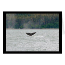 Alaska Whale Tail Card