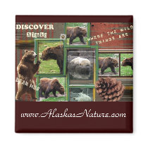 Alaska~Where The Wild Things Are-magnet