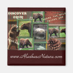 Alaska~Where The Wild Things Are-magnet
