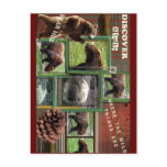 Alaska-Where The Wild Things Are Postcards