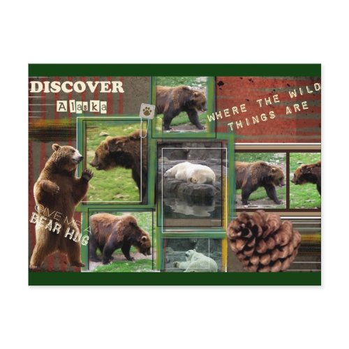 Alaska-Where The Wild Things Are postcard