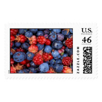 Alaska Wild Berries Postage postage