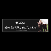 Alaska Wild Things Bumper Sticker bumper stickers