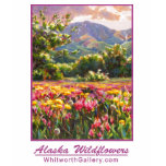 Alaska Wildflowers - Shooting Stars and Dandelions t-shirts