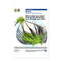 Alaskan Bird Migrations posters