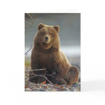 Alaskan Brown Bear at Kenai NWR, Alaska Card