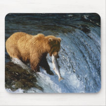 Alaskan Brown Bear Catching Salmon at Brooks Mousepad