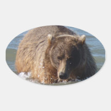 Alaskan Brown Bear Oval stickers