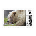 Alaskan Brown Bear postage