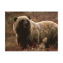 Alaskan Brown Bear Post Cards