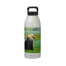 Alaskan Brown Bear Water Bottle