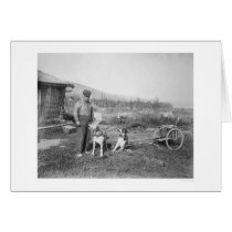Alaskan Dog Cart Transport 1916 cards
