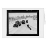 Alaskan Dogsled & Army Trucks Greeting Cards