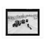 Alaskan Dogsled & Army Trucks Postcard