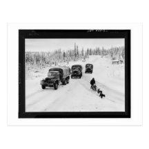 Alaskan Dogsled & Army Trucks Postcard