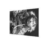 Alaskan Eskimo Smoking Pipe Photograph Gallery Wrap Canvas