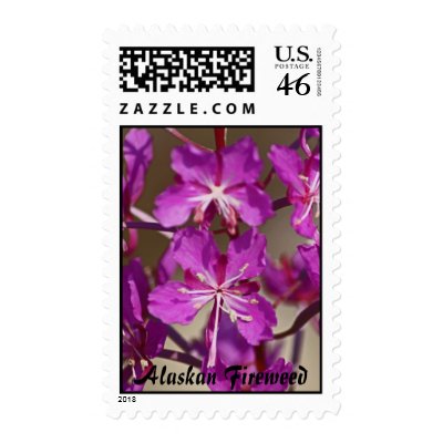 Alaskan Fireweed Postage Stamps by marzsaetel