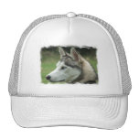 Alaskan Husky Baseball Cap Trucker Hats