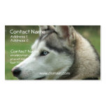 Alaskan Husky Business Card
