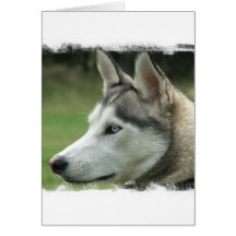 Alaskan Husky Greeting Card