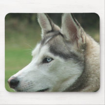 Alaskan Husky Mouse Pad