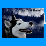 Alaskan Huskys cards