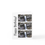 Alaskan Jungle Waterfall; Happy Birthday Cards