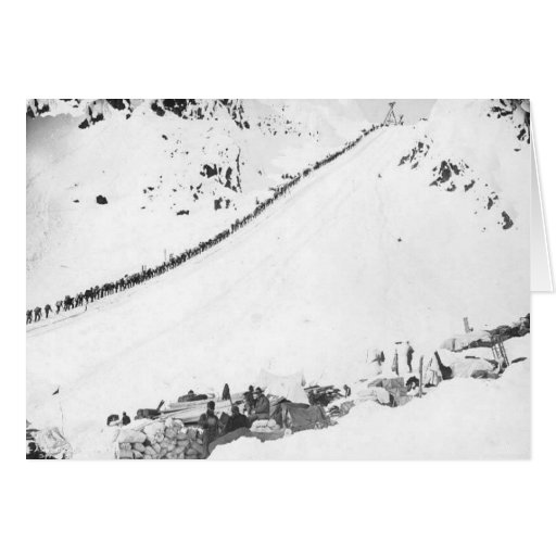 Alaskan Klondikers Greeting Card